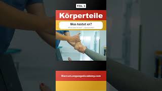 🇩🇪 Körperteile 2130  Deutsch lernen mit Fragen  Deutsch für Anfänger deutschlernen shorts [upl. by Templer]