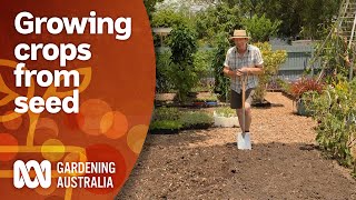 How to create the perfect seed bed for crop success  Gardening 101  Gardening Australia [upl. by Melnick875]