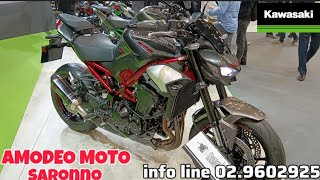 KAWASAKI NOVITÀ EICMA CON AMODEO MOTO [upl. by Yrrol]