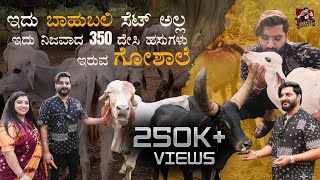 375 ದೇಸಿ ಹಸುಗಳು ಇರುವ ಗೋಶಾಲೆ  Sanctuary For Cows And Calf  Kannada Vlogs  Niranjan Deshpande [upl. by Rimidalb]