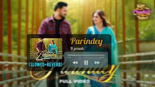 Parindey SlowedReverbB Praak  Jaani  Gippy Grewal Sargun Mehta Roopi Gill  Avvy Sra [upl. by Dinah]