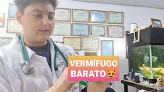 VERMÍFUGO BOM E BARATO PARA GATOS [upl. by Hogen]