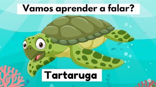 Tartaruga 🐢 Aprendendo a falar tartaruga [upl. by Milburn]