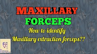 Dental Forceps  Maxillary forceps identification and use [upl. by Kathrine]