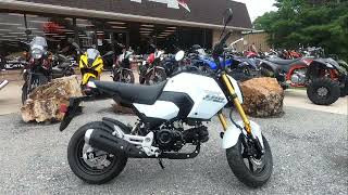 New 2025 Honda Grom Motorcycle For Sale In Emmaus PA [upl. by Rafat384]