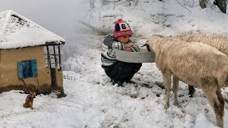 Snow Village life and Culinary Traditions in Talesh Mountains  IRAN [upl. by Guadalupe]