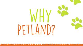 Why Petland Let us show you 2022 [upl. by Ellennaj]