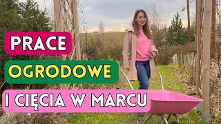 MARZEC W OGRODZIE  prace ogrodowe przycinamy róże [upl. by Iemaj]