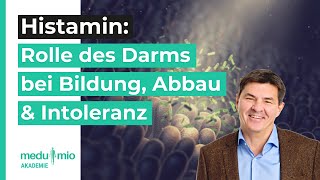 Histamin Diese Rolle spielt der Darm bei Bildung Abbau amp Intoleranzen 🔬​ Dr Ralf Kirkamm [upl. by Tobi]