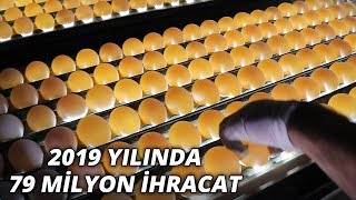 KDV indirimi yumurta üreticisine nefes aldırdı [upl. by Sofer918]