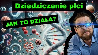 Dziedziczenie płci⚡ Dziedziczenie Daltonizmu i Hemofilii🤓 Dziedziczenie grup krwi🔥 genetyka klasa 8 [upl. by Braasch]