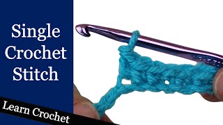 Single Crochet Stitch  Beginner Course Lesson 6 [upl. by Eimia]