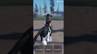 CapCut template because I’m busy roadto1k equestriansport roblox [upl. by Nylakcaj]