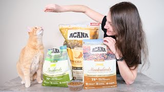 Acana Cat Food Review We Tested It [upl. by Radnaskela]