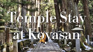 Temple Stay at Koyasan  Japan Winter 2024 [upl. by Kimberli]