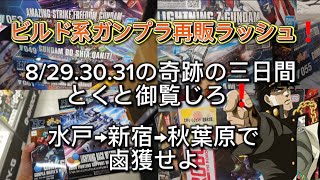 8293031の怒涛の三日間に起きたビルド系ガンプラ再販品遭遇❗️水戸→新宿→秋葉原…異なるエリアで奇跡のご対面🎵真夏のビルド系再販祭りの結末は如何に！？ガンプラ再販ブラックウォーリア [upl. by Llertak505]