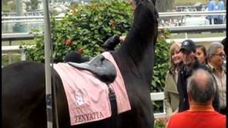 Zenyatta Wins Thriller Over St Trinians In Vanity [upl. by Kim]