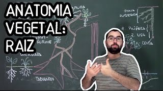 Organologia da Raiz Anatomia  Aula 15 Botânica Prof Guilherme [upl. by Nahsab608]