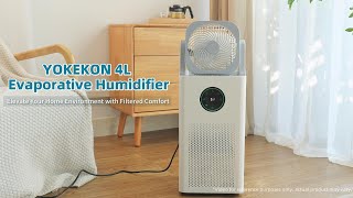 Humidifier and Purifier in One [upl. by Auqenat]