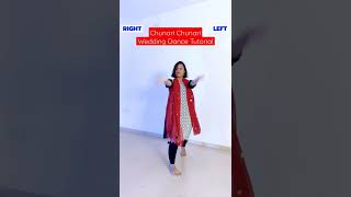 Chunari Chunari Dance Tutorial  Wedding Choreography  Laveena Ashish dancetutorial [upl. by Leilamag]