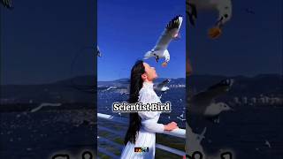 The bird with high IQ🧠level  🤷🤯🤯 viral knowledge science facts respect birds youtubeshorts [upl. by Essilec570]