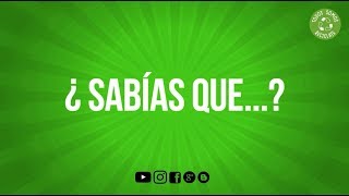 ✅ 9 Datos Curiosos sobre RESIDUOS RECICLAJE y MEDIOAMBIENTE ♻️ MÍRALO [upl. by Marget762]