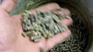 Make FREE wood pellets from recycled junk mail to run your pellet stove  Part 1 [upl. by Pappas595]