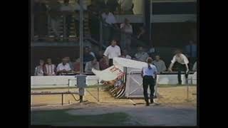 1995 CHAMPION STAKES FINAL  WESTMEAD MERLIN [upl. by Jewelle]