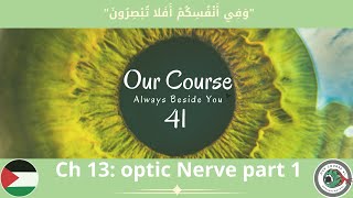 Ch 13 Optic Nerve P1 Anatomy amp papilledema Ophthalmology 41 [upl. by Richy]