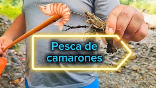 Pesca de Camarones🎣🎣 [upl. by Arammat]