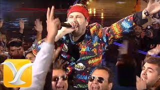 Los Auténticos Decadentes  Tuta Tuta  Festival de Viña del Mar 2017  HD 1080p [upl. by Marbut334]