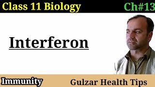 Interferon second line of defense  Immunity  class 11th biology [upl. by Aihsila]