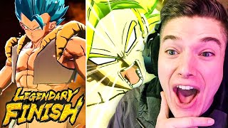 WHAT NEW LF Gogeta Blue amp LF DBS Broly Reaction on Dragon Ball Legends [upl. by Ysnap741]