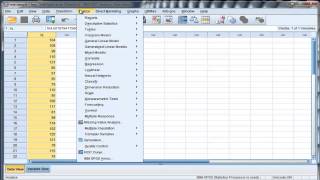 Onesample ttest  SPSS Part1 [upl. by Siouxie]