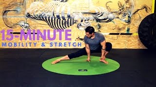 MOBILITY amp STRETCH 15minute Movement Practice [upl. by Serolod]