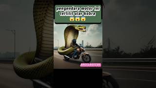 Pengendara motor terlilit ular kobra ‼️ shorts funny [upl. by Nivej]