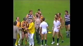 Infamous incident 1985 Hawthorn v Geelong [upl. by Carey946]