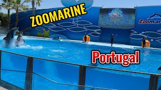 Zoomarine Portugal  Algarve  Travel vlog  Dolphins show [upl. by Suoicerpal]