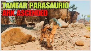 como TAMEAR un PARASAURIO en ARK ASCENDED  en 1 minuto  tamear PARASAURIO ASA 🧵 [upl. by Lenore]