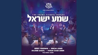 Shema  Yerachmiel Begun [upl. by Irdua621]