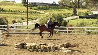 SOLOSHOT3  Equestrian Filmed with Optic65 Camera [upl. by Llemej]