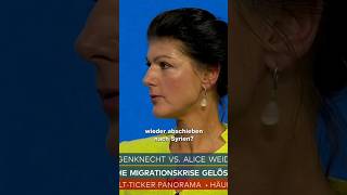 Unkontrollierte Migration stoppen ohne Ressentiments gegen alle Einwanderer bsw afd welt [upl. by Marcy]