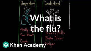 What is the flu  Infectious diseases  Health amp Medicine  Khan Academy [upl. by Godfry841]