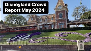 Disneyland Crowd Report  May 1 2024 [upl. by Neemsaj903]