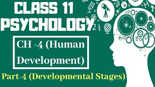 Class 11 Psychology NCERT Chapter4  Part4 Developmental Stages  Text book [upl. by Ardnama]