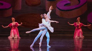 Nutcracker Pas de Deux  Ekaterina Nechayeva Brookyn Mack [upl. by Ttocs]