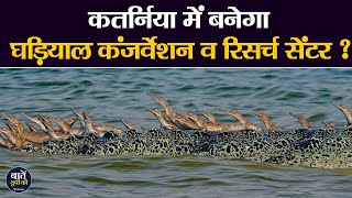 Katarniaghat Wildlife Sanctuary to be developed as Gharial Conservation and Research Center [upl. by Woolley]