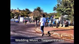 Wedding Music  Tsegaye Eshetu [upl. by Artekal]