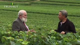 La vigne  les conseils du directeur du vignoble de Veuve Clicquot en Champagne  Truffaut [upl. by Northrop]