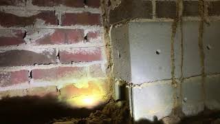 Termite damage found during inspection in Louisburg NC [upl. by Alohs187]